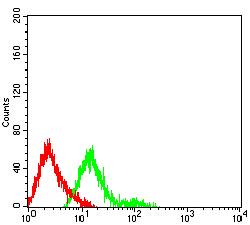 FUT3 Antibody - Flow cytometric analysis of HL-60 cells using CD174 mouse mAb (green) and negative control (red).