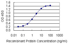 FUT4 / CD15 Antibody - Detection limit for recombinant GST tagged FUT4 is 0.03 ng/ml as a capture antibody.