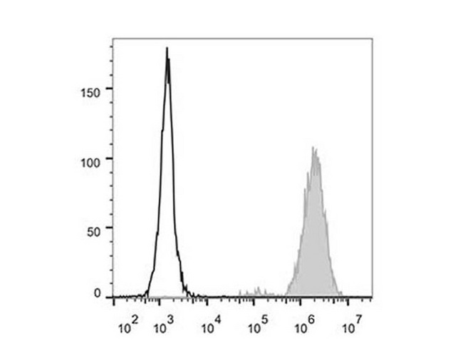 FUT4 / CD15 Antibody