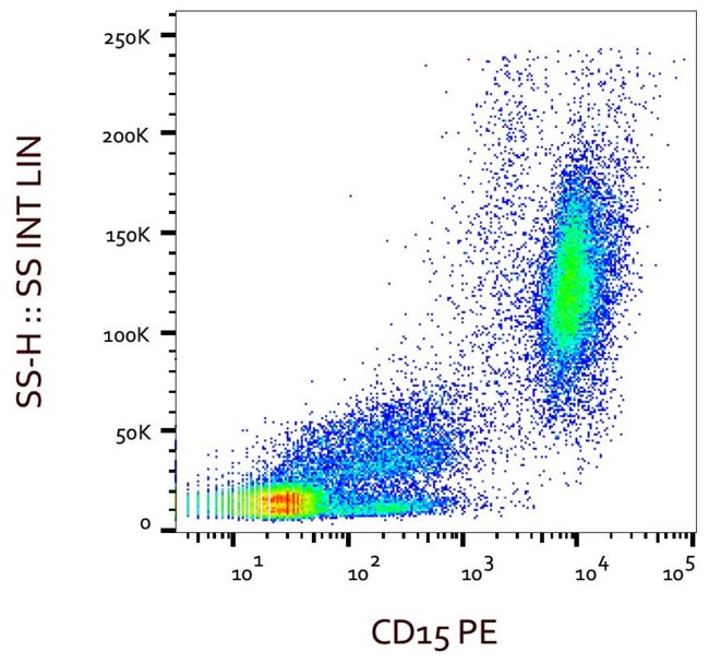 FUT4 / CD15 Antibody - Surface staining of CD15 in human peripheral blood with anti-CD15 (MMA) PE.