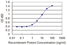 FUT5 Antibody - Detection limit for recombinant GST tagged FUT5 is 0.1 ng/ml as a capture antibody.