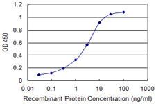 FXN / Frataxin Antibody - Detection limit for recombinant GST tagged FXN is 0.03 ng/ml as a capture antibody.