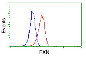 FXN / Frataxin Antibody - Flow cytometry of Jurkat cells, using anti-FXN antibody (Red), compared to a nonspecific negative control antibody (Blue).