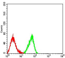 FZD4 / Frizzled 4 Antibody - Flow cytometric analysis of HL-60 cells using CD344 mouse mAb (green) and negative control (red).