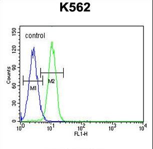G6PC / Glucose-6-Phosphatase Antibody - G6PC Antibody flow cytometry of K562 cells (right histogram) compared to a negative control cell (left histogram). FITC-conjugated goat-anti-rabbit secondary antibodies were used for the analysis.