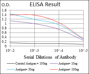 G6PD Antibody - Red: Control Antigen (100ng); Purple: Antigen (10ng); Green: Antigen (50ng); Blue: Antigen (100ng);