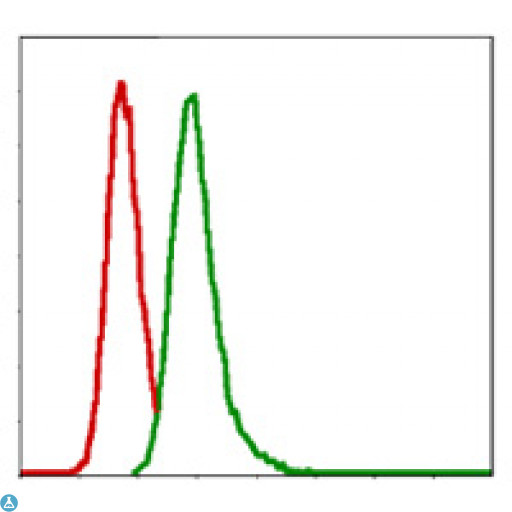 G6PD Antibody - Flow cytometric (FCM) analysis of MCF-7 cells using G6PD Monoclonal Antibody (green) and negative control (red).