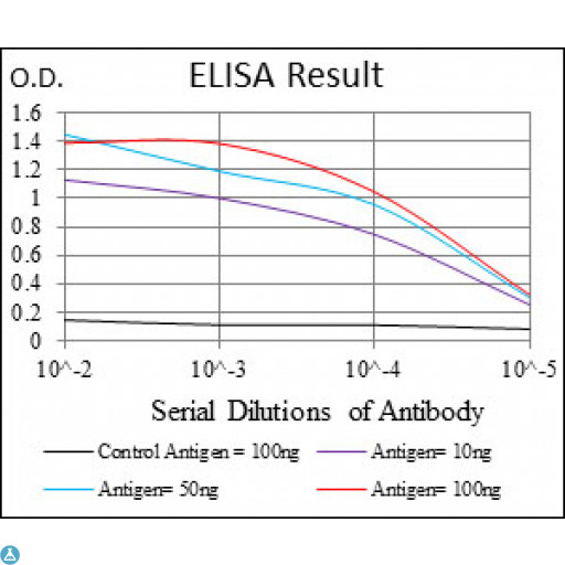 G6PD Antibody - ELISA analysis of G6PD antibody.