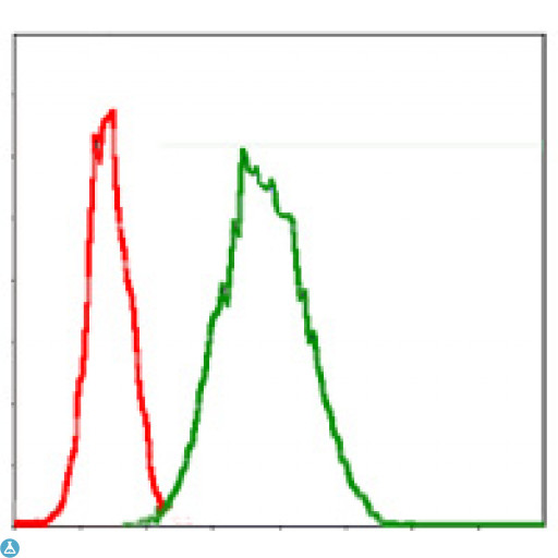 G6PD Antibody - Flow cytometric (FCM) analysis of Jurkat cells using G6PD Monoclonal Antibody (green) and negative control (red).