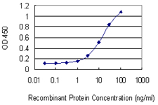 GAA / Alpha-Glucosidase, Acid Antibody - Detection limit for recombinant GST tagged GAA is 0.3 ng/ml as a capture antibody.