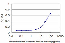 GABPA / NRF2 Antibody - Detection limit for recombinant GST tagged GABPA is approximately 3 ng/ml as a capture antibody.