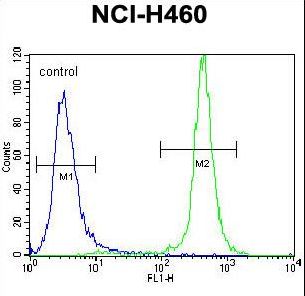 GABRA4 Antibody - GABRA4 Antibody flow cytometry of NCI-H460 cells (right histogram) compared to a negative control cell (left histogram). FITC-conjugated goat-anti-rabbit secondary antibodies were used for the analysis.