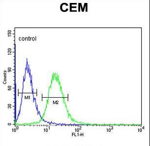 GABRA4 Antibody - GABRA4 Antibody flow cytometry of CEM cells (right histogram) compared to a negative control cell (left histogram). FITC-conjugated goat-anti-rabbit secondary antibodies were used for the analysis.
