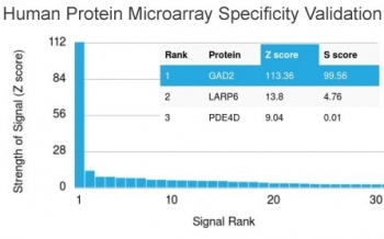 GAD65 Antibody - Analysis of HuProt(TM) microarray containing more than 19,000 full-length human proteins using GAD65 antibody (clone GAD2/2362). These results demonstrate the foremost specificity of the GAD2/2362 mAb. Z- and S- score: The Z-score represents the strength of a signal that an antibody (in combination with a fluorescently-tagged anti-IgG secondary Ab) produces when binding to a particular protein on the HuProt(TM) array. Z-scores are described in units of standard deviations (SD's) above the mean value of all signals generated on that array. If the targets on the HuProt(TM) are arranged in descending order of the Z-score, the S-score is the difference (also in units of SD's) between the Z-scores. The S-score therefore represents the relative target specificity of an Ab to its intended target.