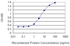 GALK1 / GK1 Antibody - Detection limit for recombinant GST tagged GALK1 is 0.3 ng/ml as a capture antibody.