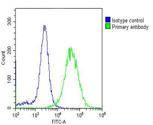 GAPDH Antibody - Overlay histogram showing Hela cells stained with GAPDH Antibody (green line). The cells were fixed with 2% paraformaldehyde (10 min) and then permeabilized with 90% methanol for 10 min. The cells were then icubated in 2% bovine serum albumin to block non-specific protein-protein interactions followed by the antibody (GAPDH Antibody, 1:25 dilution) for 60 min at 37°C. The secondary antibody used was Goat-Anti-Mouse IgG, DyLight® 488 Conjugated Highly Cross-Adsorbed (OJ192088) at 1/200 dilution for 40 min at 37°C. Isotype control antibody (blue line) was mouse IgG1 (1µg/1x10^6 cells) used under the same conditions. Acquisition of >10, 000 events was performed.