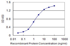 GAPDH Antibody - Detection limit for recombinant GST tagged GAPDH is 0.03 ng/ml as a capture antibody.