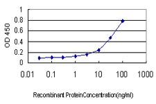GAPDHS / GAPDS Antibody - Detection limit for recombinant GST tagged GAPDHS is approximately 1 ng/ml as a capture antibody.
