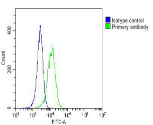 GARS / Glycyl tRNA Synthetase Antibody - Overlay histogram showing Hela cells stained with GARS Antibody (green line). The cells were fixed with 2% paraformaldehyde (10 min) and then permeabilized with 90% methanol for 10 min. The cells were then icubated in 2% bovine serum albumin to block non-specific protein-protein interactions followed by the antibody (GARS Antibody, 1:25 dilution) for 60 min at 37°C. The secondary antibody used was Goat-Anti-Mouse IgG, DyLight® 488 Conjugated Highly Cross-Adsorbed (OJ192088) at 1/200 dilution for 40 min at 37°C. Isotype control antibody (blue line) was mouse IgG1 (1µg/1x10^6 cells) used under the same conditions. Acquisition of >10, 000 events was performed.