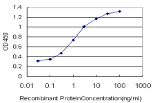 GAS2 Antibody - Detection limit for recombinant GST tagged GAS2 is approximately 0.03 ng/ml as a capture antibody.