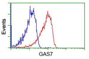 GAS7 Antibody - Flow cytometric Analysis of Jurkat cells, using anti-GAS7 antibody, (Red), compared to a nonspecific negative control antibody, (Blue).