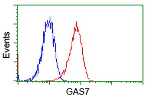 GAS7 Antibody - Flow cytometry of Jurkat cells, using anti-GAS7 antibody, (Red), compared to a nonspecific negative control antibody, (Blue).
