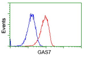 GAS7 Antibody - Flow cytometric Analysis of Hela cells, using anti-GAS7 antibody, (Red), compared to a nonspecific negative control antibody, (Blue).