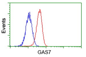 GAS7 Antibody - Flow cytometric Analysis of Jurkat cells, using anti-GAS7 antibody, (Red), compared to a nonspecific negative control antibody, (Blue).