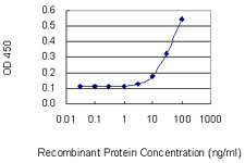 Gastrin Releasing Peptide Antibody - Detection limit for recombinant GST tagged GRP is 3 ng/ml as a capture antibody.