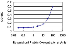 GATA1 Antibody - Detection limit for recombinant GST tagged GATA1 is 3 ng/ml as a capture antibody.