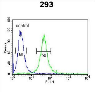GATA2 Antibody - GATA2 Antibody flow cytometry of 293 cells (right histogram) compared to a negative control cell (left histogram). FITC-conjugated goat-anti-rabbit secondary antibodies were used for the analysis.