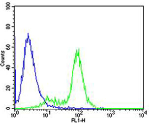GATA3 Antibody - Flow cytometric of MCF-7 cells with GATA3 Antibody (green) compared to an isotype control of mouse IgG2b (blue). Antibody was diluted at 1:25 dilution. An Alexa Fluor 488 goat anti-mouse lgG at 1:400 dilution was used as the secondary antibody.
