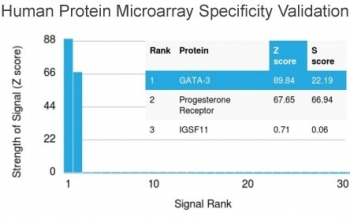 GATA3 Antibody - Analysis of HuProt(TM) microarray containing more than 19,000 full-length human proteins using GATA3 antibody (clone GATA3/2442). These results demonstrate the foremost specificity of the GATA3/2442 mAb. Z- and S- score: The Z-score represents the strength of a signal that an antibody (in combination with a fluorescently-tagged anti-IgG secondary Ab) produces when binding to a particular protein on the HuProt(TM) array. Z-scores are described in units of standard deviations (SD's) above the mean value of all signals generated on that array. If the targets on the HuProt(TM) are arranged in descending order of the Z-score, the S-score is the difference (also in units of SD's) between the Z-scores. The S-score therefore represents the relative target specificity of an Ab to its intended target.