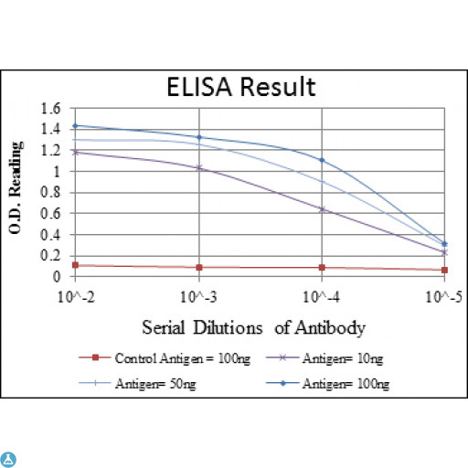GATA5 Antibody - ELISA analysis of GATA-5 antibody.