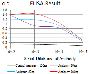 GATA6 Antibody - Red: Control Antigen (100ng); Purple: Antigen (10ng); Green: Antigen (50ng); Blue: Antigen (100ng);