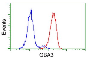 GBA3 / CBG Antibody - Flow cytometry of HeLa cells, using anti-GBA3 antibody (Red), compared to a nonspecific negative control antibody (Blue).