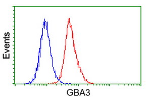 GBA3 / CBG Antibody - Flow cytometry of HeLa cells, using anti-GBA3 antibody (Red), compared to a nonspecific negative control antibody (Blue).