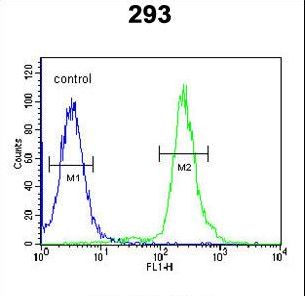 GBP7 Antibody - GBP7 Antibody flow cytometry of 293 cells (right histogram) compared to a negative control cell (left histogram). FITC-conjugated goat-anti-rabbit secondary antibodies were used for the analysis.