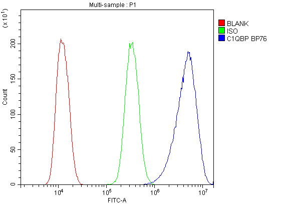 GC1qR / C1QBP Antibody - Flow Cytometry analysis of U20S cells using anti-GC1q R antibody. Overlay histogram showing U20S cells stained with anti-GC1q R antibody (Blue line). The cells were blocked with 10% normal goat serum. And then incubated with rabbit anti-GC1q R Antibody (1µg/10E6 cells) for 30 min at 20°C. DyLight®488 conjugated goat anti-rabbit IgG (5-10µg/10E6 cells) was used as secondary antibody for 30 minutes at 20°C. Isotype control antibody (Green line) was rabbit IgG (1µg/10E6 cells) used under the same conditions. Unlabelled sample (Red line) was also used as a control.