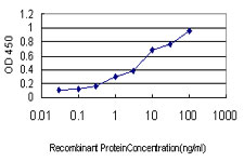 GCG / Glucagon Antibody - Detection limit for recombinant GST tagged GCG is approximately 0.03 ng/ml as a capture antibody.