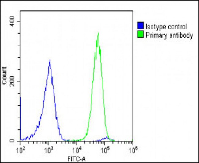 GCL / Grancalcin Antibody - Overlay histogram showing U-2 OS cells stained with GCA Antibody (N-Term) (green line). The cells were fixed with 2% paraformaldehyde (10 min) and then permeabilized with 90% methanol for 10 min. The cells were then icubated in 2% bovine serum albumin to block non-specific protein-protein interactions followed by the antibody (GCA Antibody (N-Term), 1:25 dilution) for 60 min at 37°C. The secondary antibody used was Goat-Anti-Rabbit IgG, DyLight® 488 Conjugated Highly Cross-Adsorbed (OE188374) at 1/200 dilution for 40 min at 37°C. Isotype control antibody (blue line) was rabbit IgG1 (1µg/1x10^6 cells) used under the same conditions. Acquisition of >10, 000 events was performed.