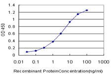 GCM1 Antibody - Detection limit for recombinant GST tagged GCM1 is approximately 0.1 ng/ml as a capture antibody.