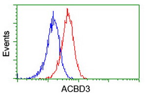 GCP60 / ACBD3 Antibody - Flow cytometry of Jurkat cells, using anti-ACBD3 antibody (Red), compared to a nonspecific negative control antibody (Blue).