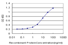 GDF2 / BMP9 Antibody - Detection limit for recombinant GST tagged GDF2 is approximately 0.3 ng/ml as a capture antibody.