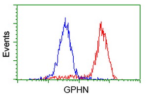 Gephyrin Antibody - Flow cytometry of HeLa cells, using anti-GPHN antibody (Red), compared to a nonspecific negative control antibody (Blue).