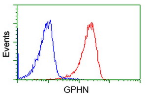 Gephyrin Antibody - Flow cytometry of Jurkat cells, using anti-GPHN antibody (Red), compared to a nonspecific negative control antibody (Blue).