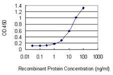 GFAP Antibody - Detection limit for recombinant GST tagged GFAP is 0.3 ng/ml as a capture antibody.