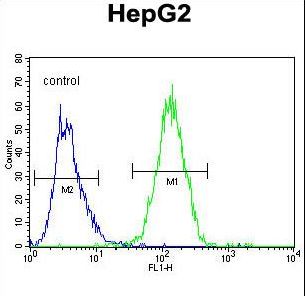 GFER Antibody - GFER Antibody flow cytometry of HepG2 cells (right histogram) compared to a negative control cell (left histogram). FITC-conjugated goat-anti-rabbit secondary antibodies were used for the analysis.