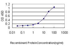 GFI1 Antibody - Detection limit for recombinant GST tagged GFI1 is approximately 0.3 ng/ml as a capture antibody.