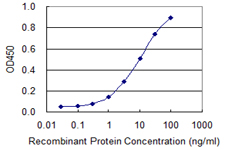 GH2 Antibody - Detection limit for recombinant GST tagged GH2 is 0.3 ng/ml as a capture antibody.